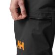 Helly Hansen Sogn Mens Cargo Pant 2024 For Sale