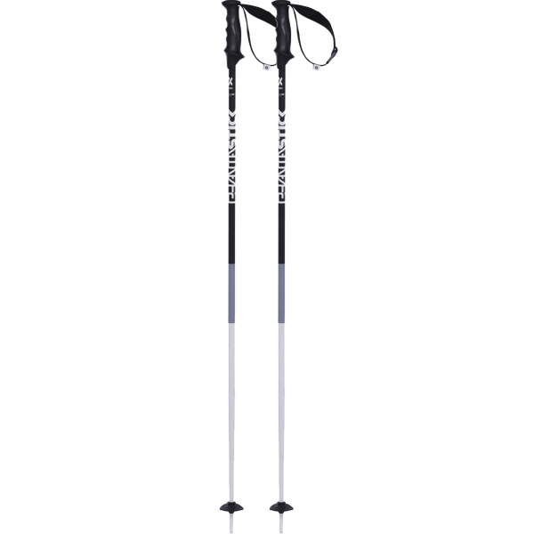 Volkl Phantastick 2 Ski Pole 2019 Online