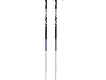 Volkl Phantastick 2 Ski Pole 2019 Online