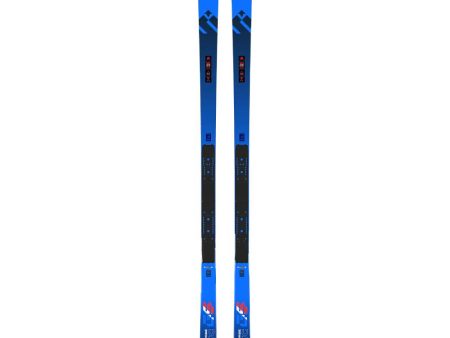 Dynastar WC FIS GS FAC R22 Ski 2024 Online