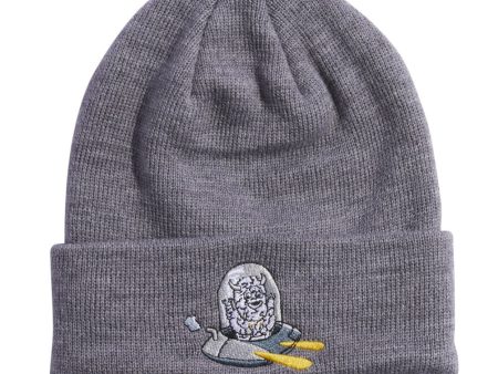 Coal The Crave Kids Beanie For Sale