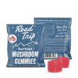 Desert Stardust Mushroom Gummies - 2-Piece Pouch (Sample Size) For Sale